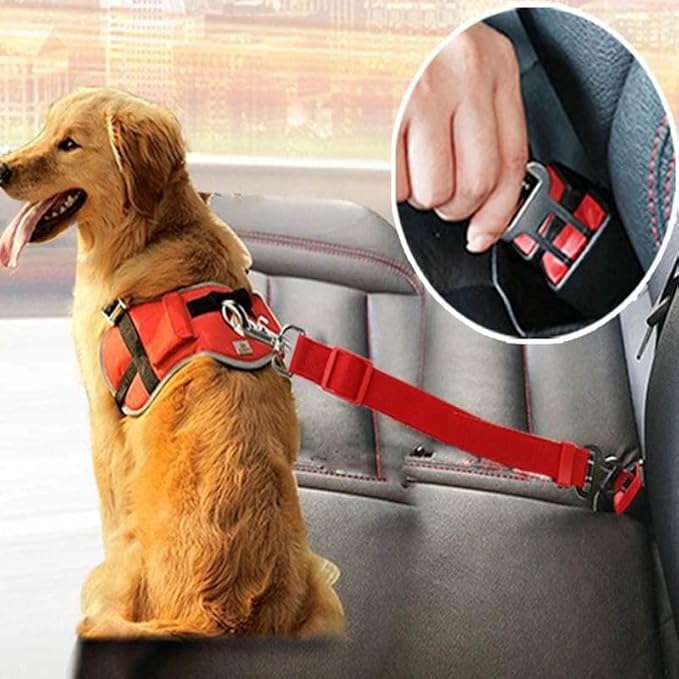 Correa Para Perro Cinturón De Seguridad De Auto